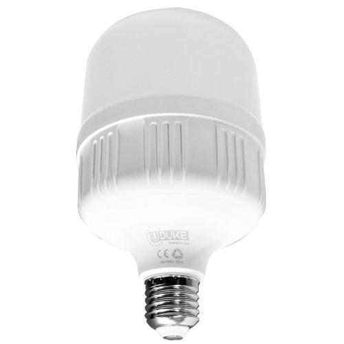 BOMBILLO LED 30W UDUKE LUZ DIA E27 MULTIVOLTAGE (6500K) (T100)