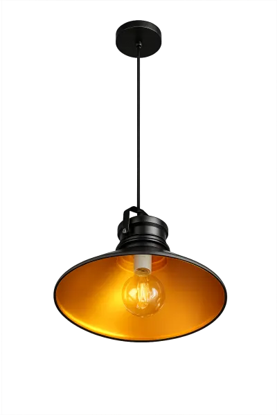 1102 LAM TECH VINT 1L BK INTER DORA