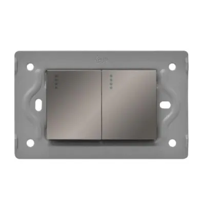 SWICHE DOBLE LUXOR GRIS INTERCAMBIABLE SIN TAPA DUKE ENERGY (V3-007)